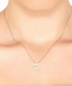 Latelita ZODIAC STAR SIGN CAPRICORN Halskette Silver Damen